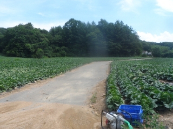 기호 5,6,11번 근거리에서 촬영한 것임