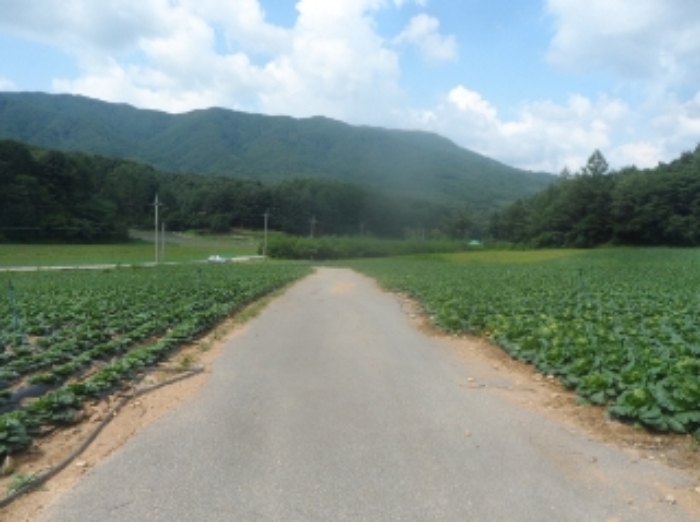 기호 5,6,11번 근거리에서 촬영한 것임