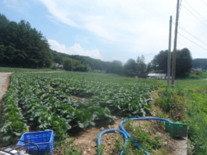 기호 6,8번 근거리에서 촬영한 것임