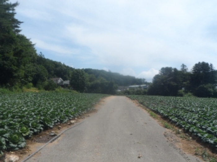 기호 7,8,9번 근거리에서 촬영한 것임