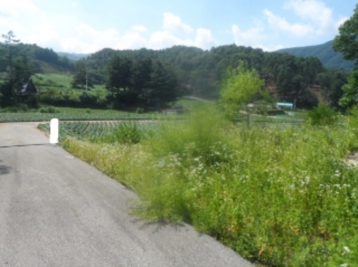 기호 7,8,9번 근거리에서 촬영한 것임