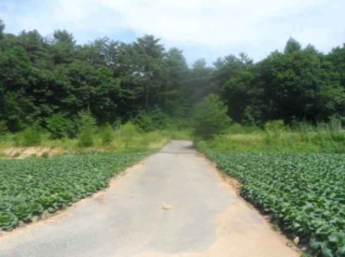 기호 7,8,9,10번 근거리에서 촬영한 것임