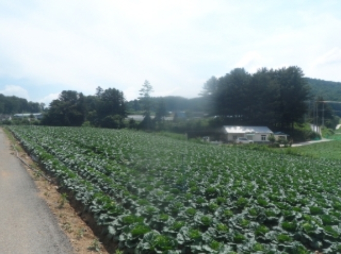 기호 8번 근거리에서 촬영한 것임