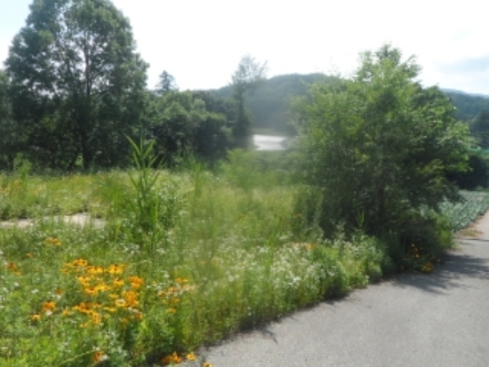 기호 8번 근거리에서 촬영한 것임