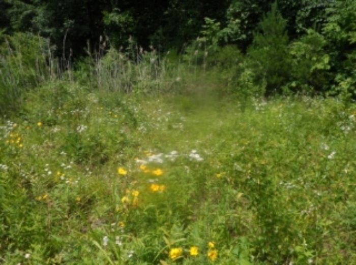 기호 10번 근거리에서 촬영한 것임