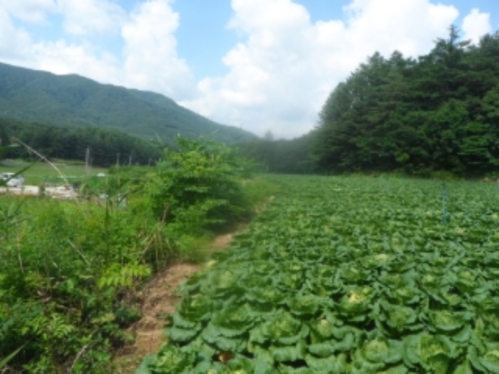 기호 1,2,8번 근거리에서 촬영한 것임