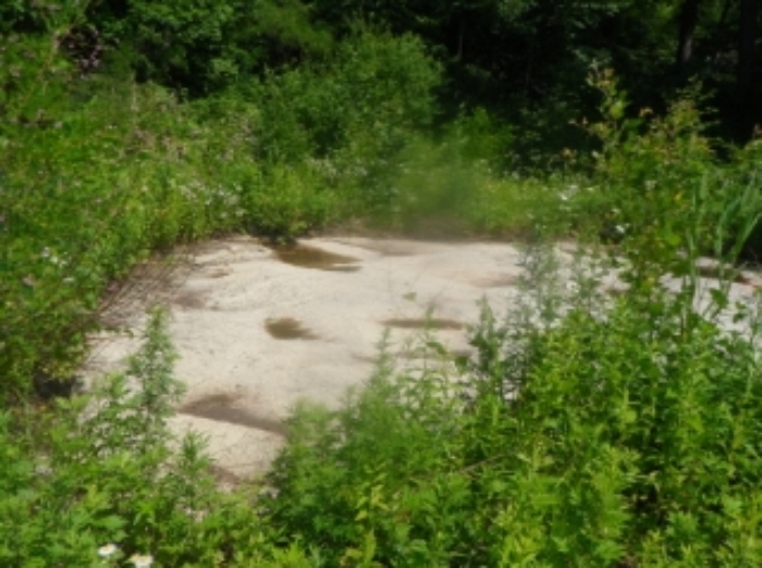 기호 10번 근거리에서 촬영한 것임