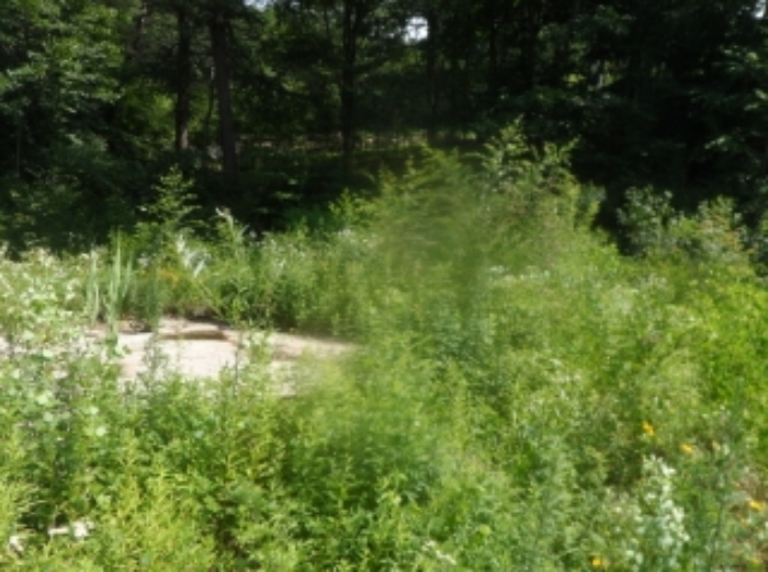 기호 10번 근거리에서 촬영한 것임