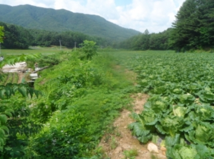 기호 1,8번 근거리에서 촬영한 것임