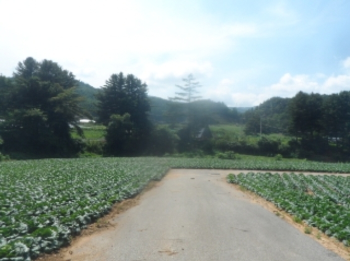 기호 2,3,7,8,9번 근거리에서 촬영한 것임