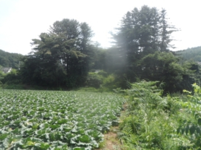 기호 2,3,8번 근거리에서 촬영한 것임