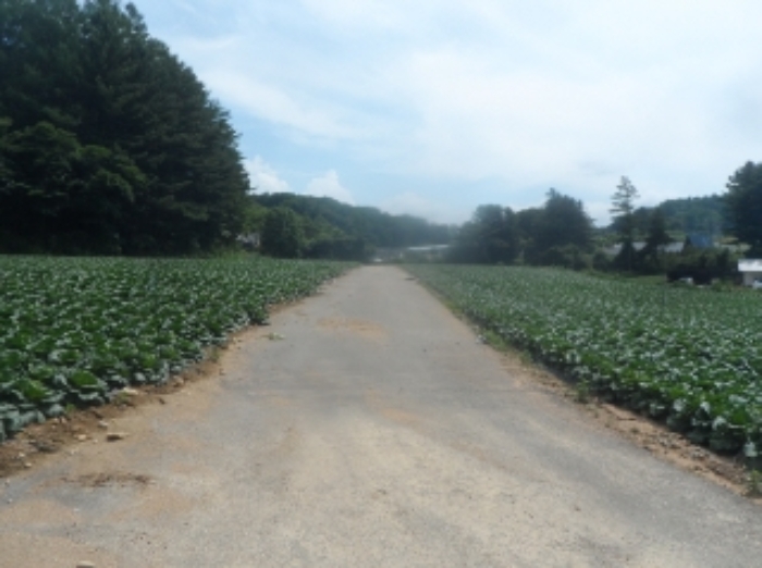 기호 4,5,6,7,8,9,11번 근거리에서 촬영한 것임