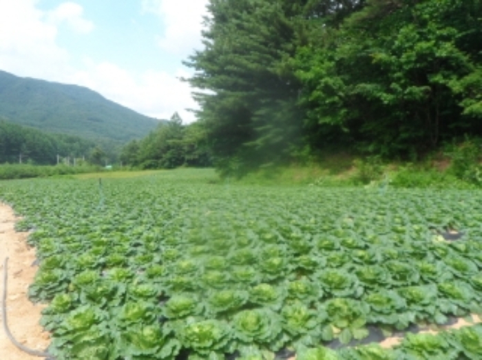 기호 4,5,7번 근거리에서 촬영한 것임