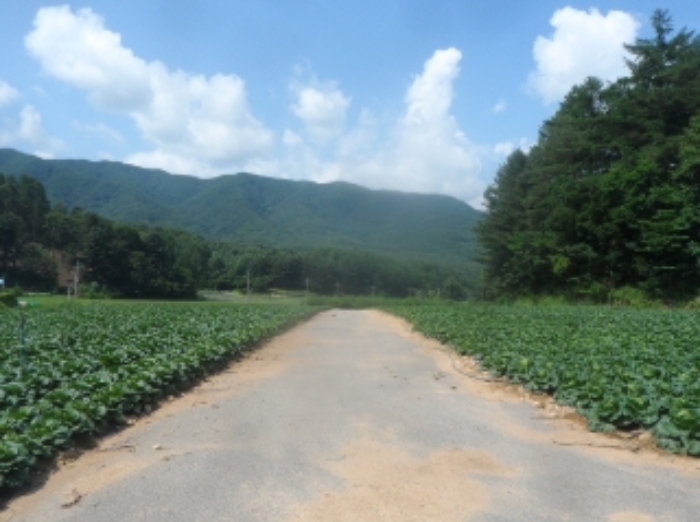 기호 4,7,8,9,11번 근거리에서 촬영한 것임