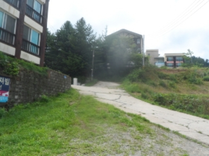 기호 1번 근거리에서 촬영한 것임