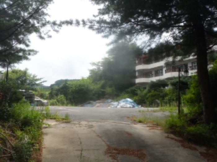 기호 1번 근거리에서 촬영한 것임