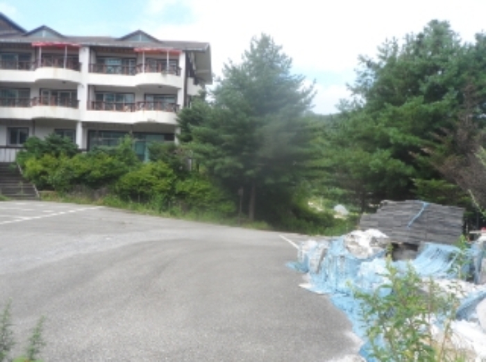 기호 1번 근거리에서 촬영한 것임