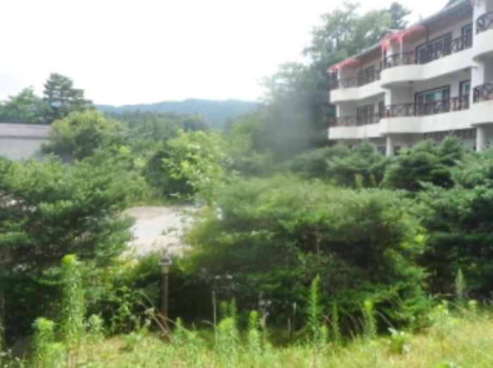 기호 1번 근거리에서 촬영한 것임