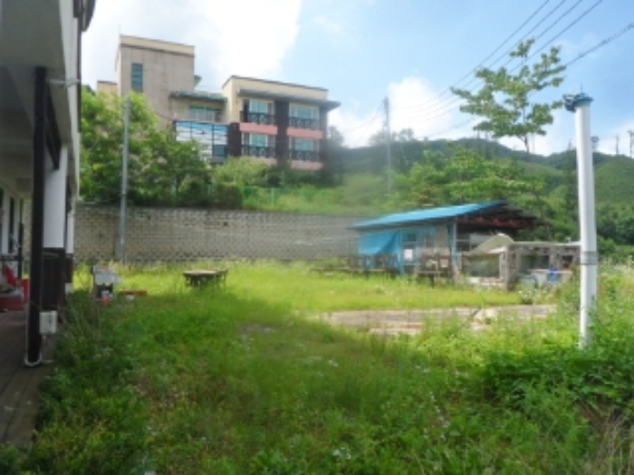 기호 1번 근거리에서 촬영한 것임