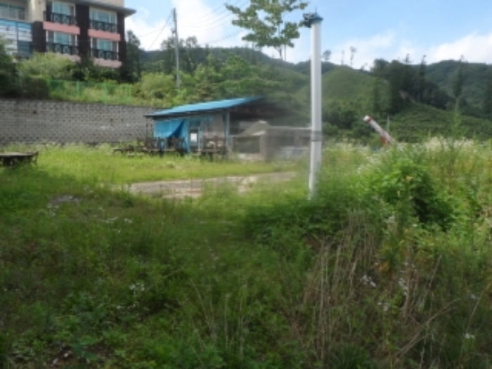 기호 1번 근거리에서 촬영한 것임