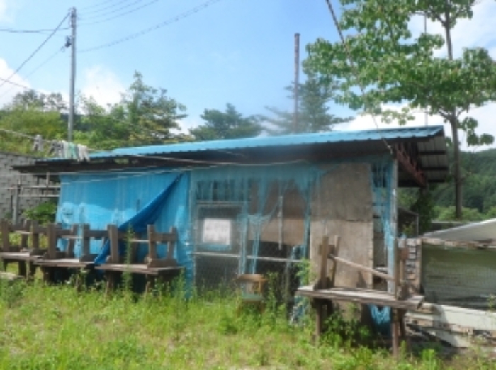 기호 1번 지상에 소재하는 것으로 보이는 제시외 철골조 강판지붕 창고