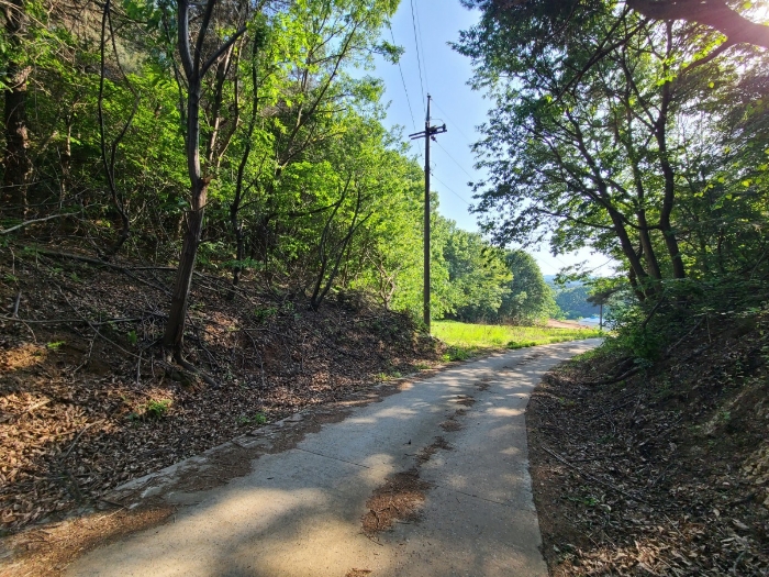 본건 기호(1)토지 전경
(본건 북동측에서)