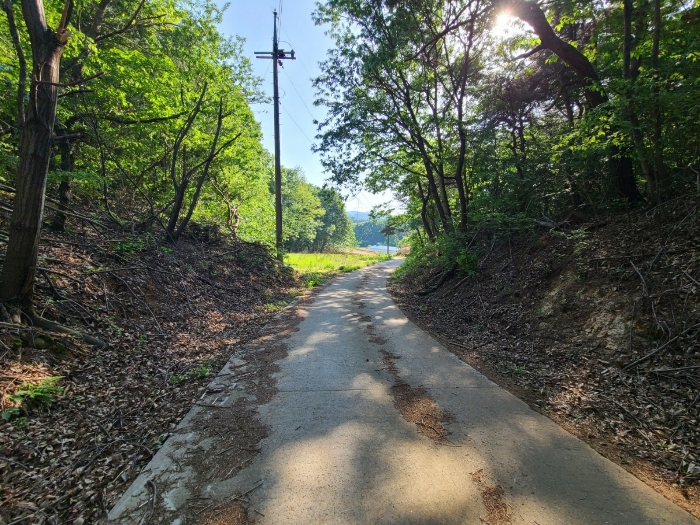 본건 기호(1)토지 현황 "도로" 전경