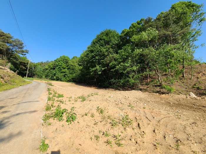 본건 기호(1)토지 전경
(본건 북서측에서)