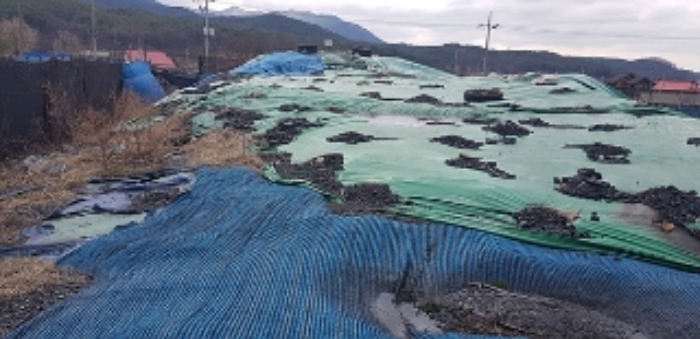 4번 부동산 지상 제시외 무연탄(대한석탄공사 소유, 12,500톤)이 적치되어 있는 모습(2)