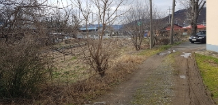 1번 부동산 `전`으로 이용되는 부분