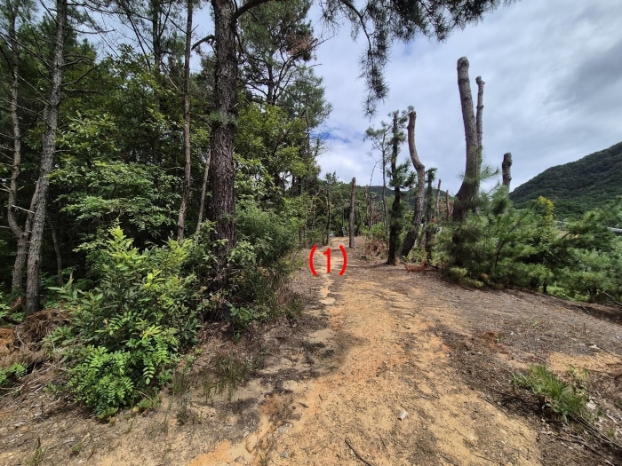 사진설명 : 본건(1) 전경