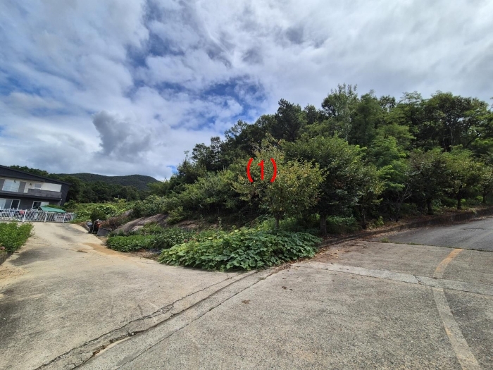 사진설명 : 본건(1) 전경