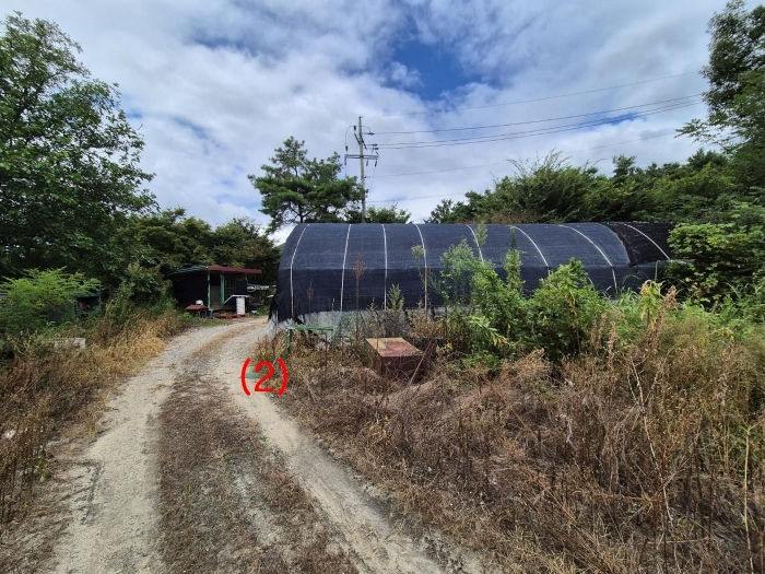 사진설명 : 본건(2) 전경