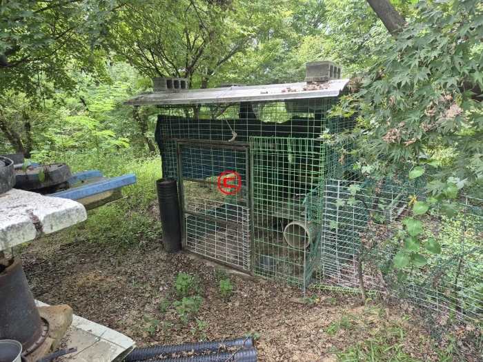 사진설명 : 제시외건물