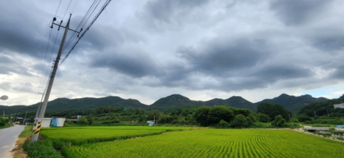 사진 1.도문리 산 65-6, 산 65-9 및 주변