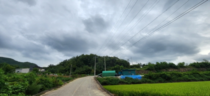 사진 2. 도문리 산 65-6 및 주변