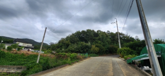 사진 3. 도문리 산 65-6 및 주변