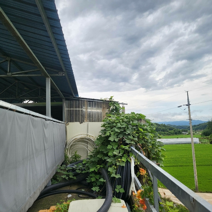 제시외 건물 기호 ㄴ 전경