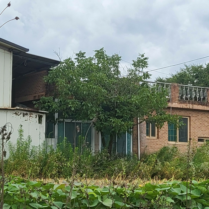 제시외 건물 기호 ㅌ 전경