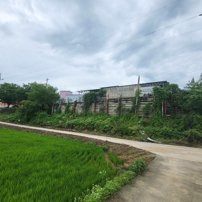 기호3 남동측 전경