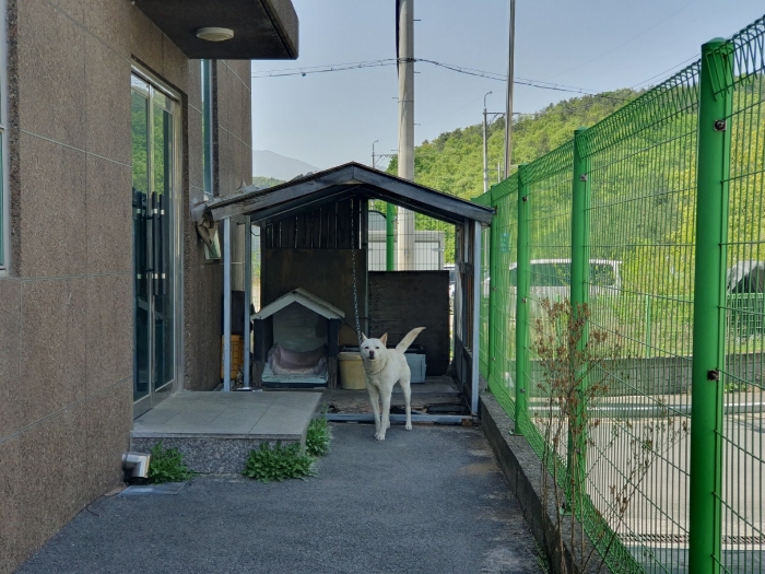 제시외 건물(ㄷ)