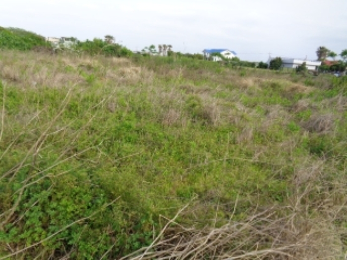 소재지2.(일과리 1299-1) 전경