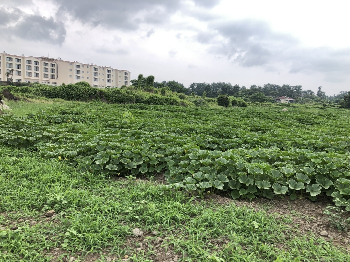 기호 6 북측 전경