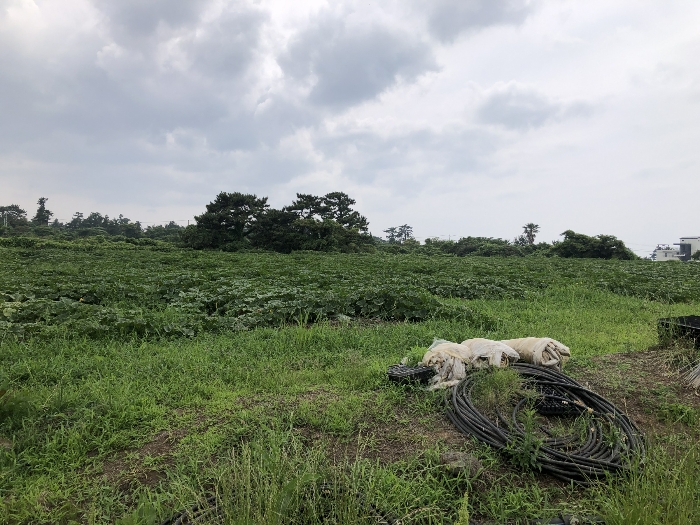기호 4,5 동측 전경