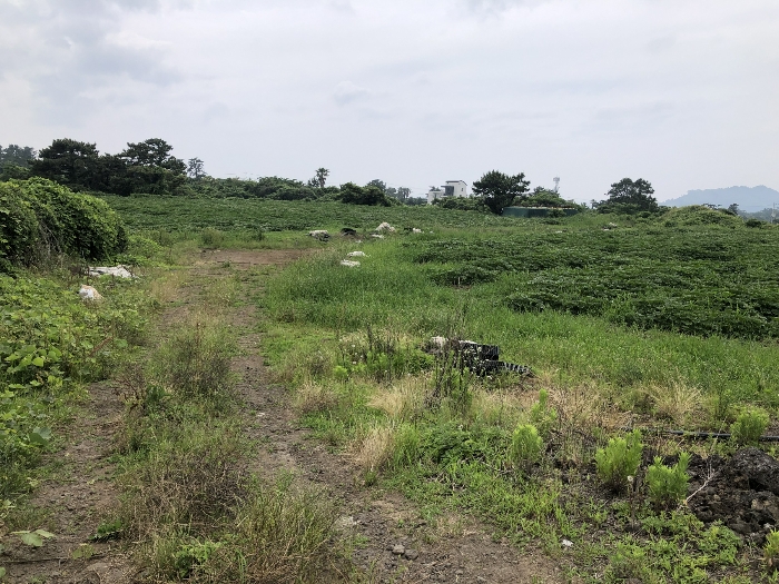 기호 6 남동측 전경