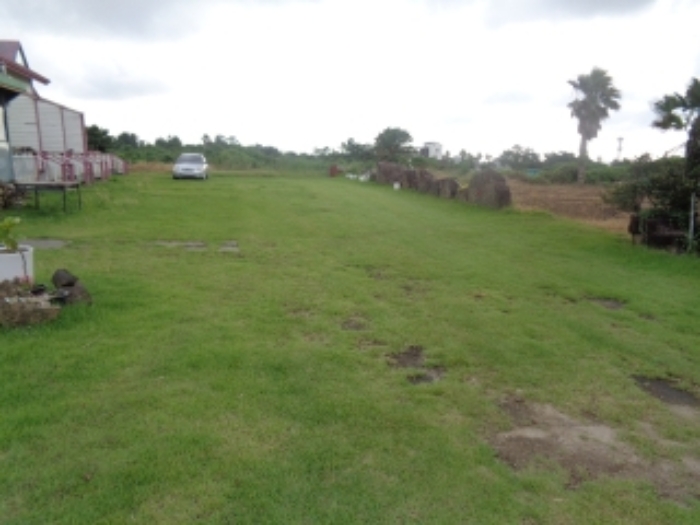 소재지1(협재리 1265-1) 전경 사진