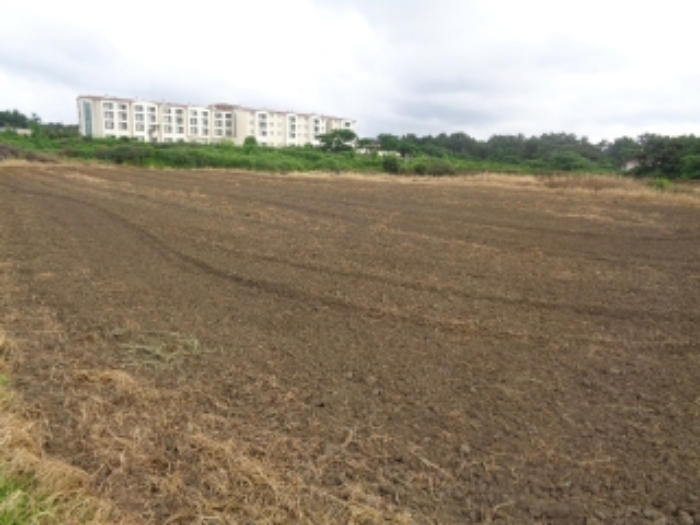 소재지3(협재리 1255-1) 전경 사진