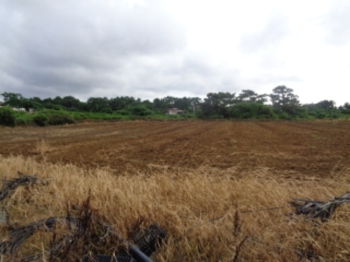 소재지3(협재리 1255-1) 전경 사진