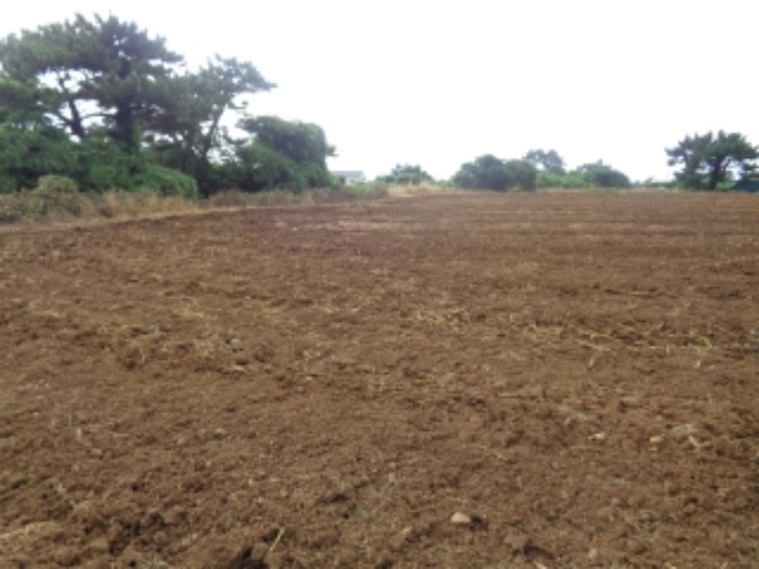 소재지4(협재리 1255-2) 전경 사진