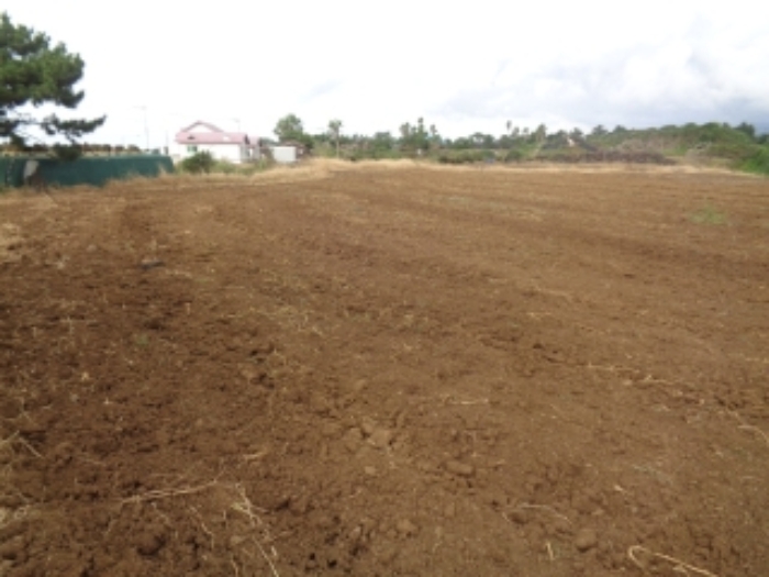 소재지4(협재리 1255-2) 전경 사진